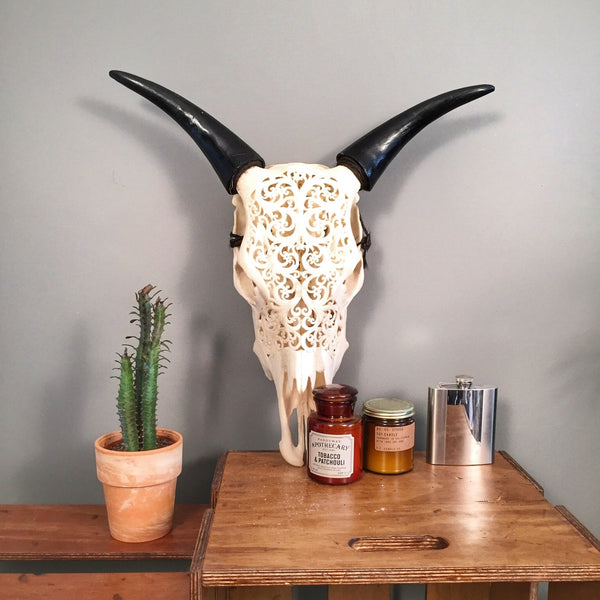 Decorative cow head skull with a plant and candles