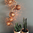 Hanging string lights with plants