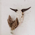 Decorative cow head skull on a wall